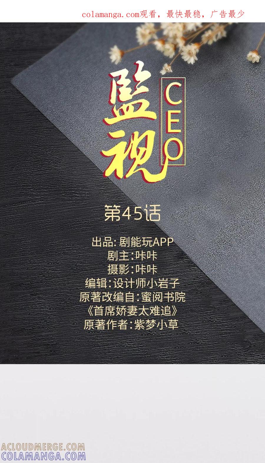 第45话-监视CEO-剧能玩（第1张）