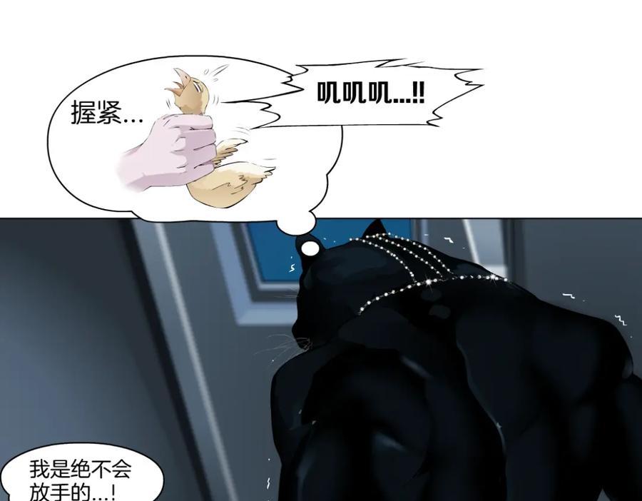 78.jpg