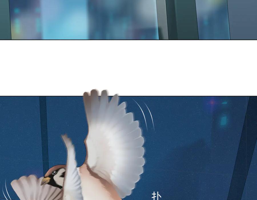84.jpg