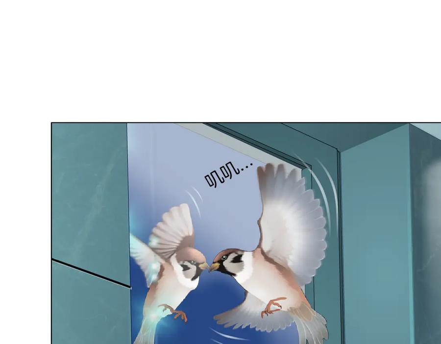 50.jpg