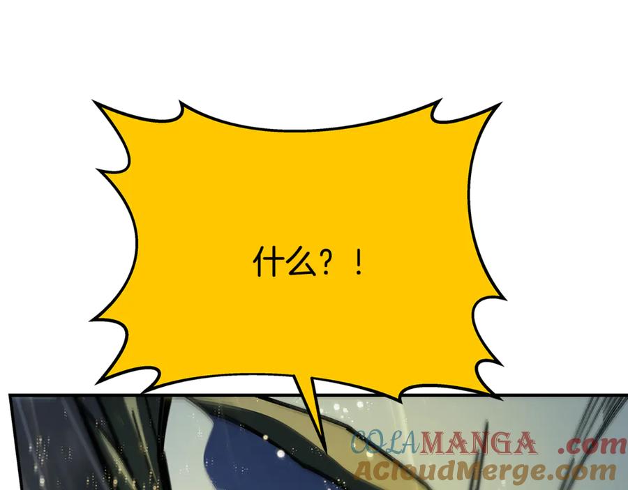 213.jpg