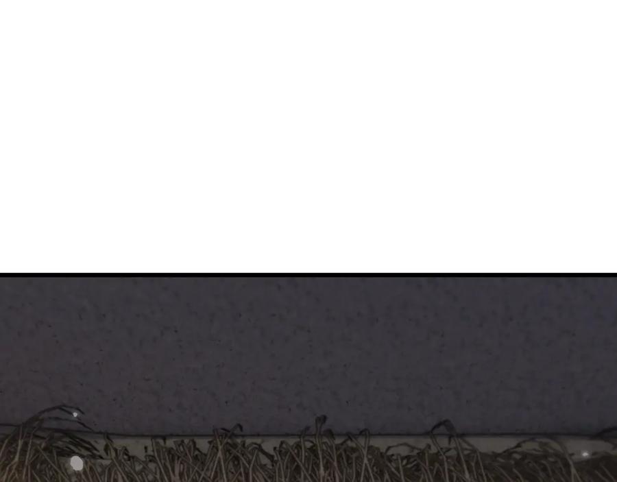 80.jpg