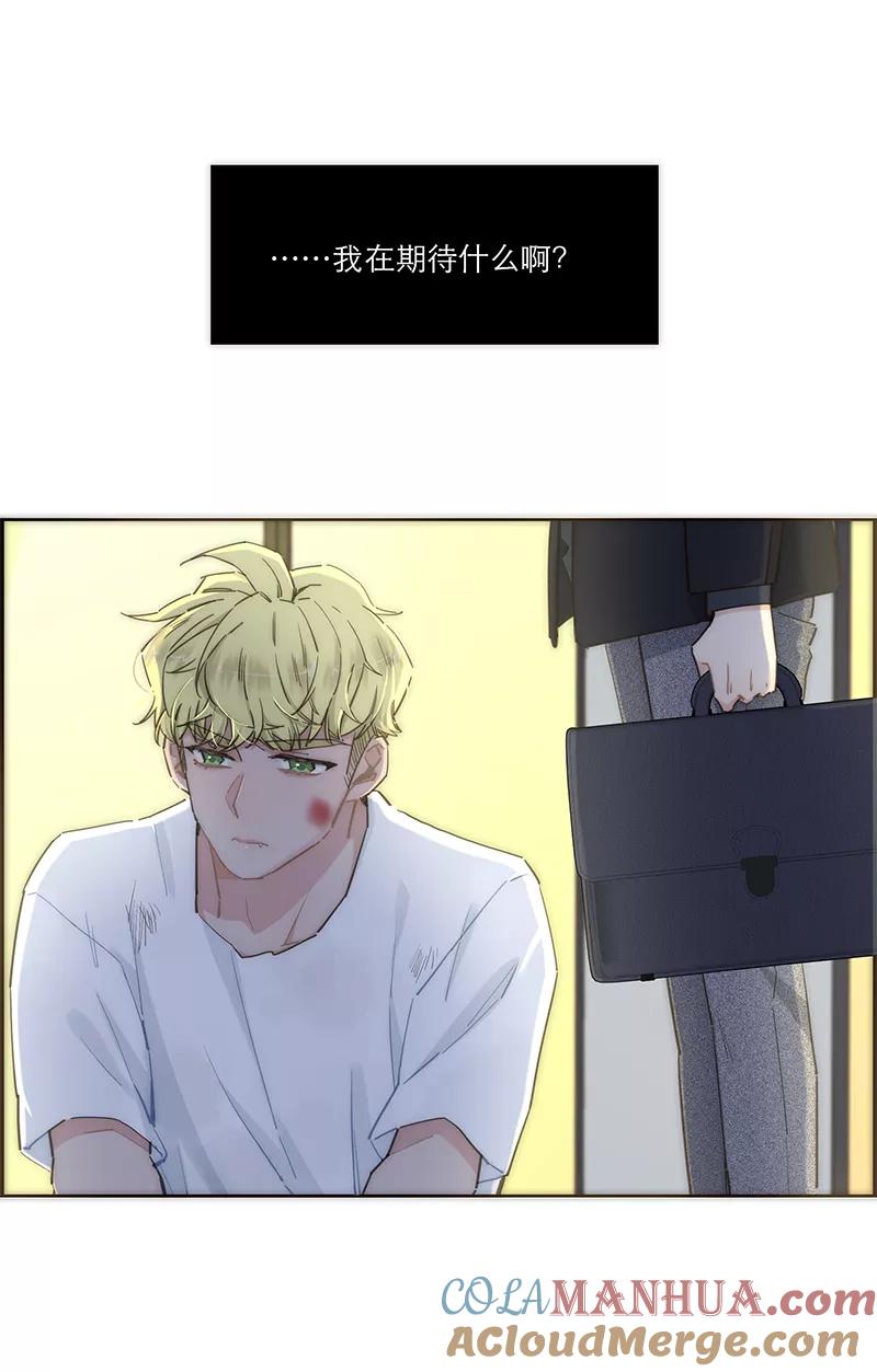 43.jpg