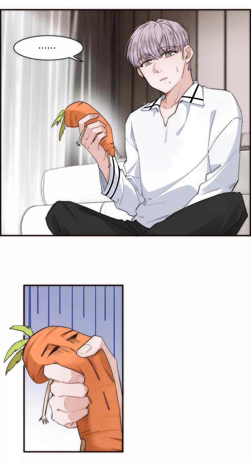 27.jpg