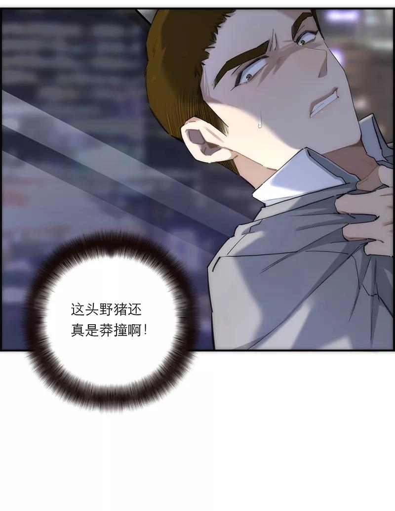 47.jpg