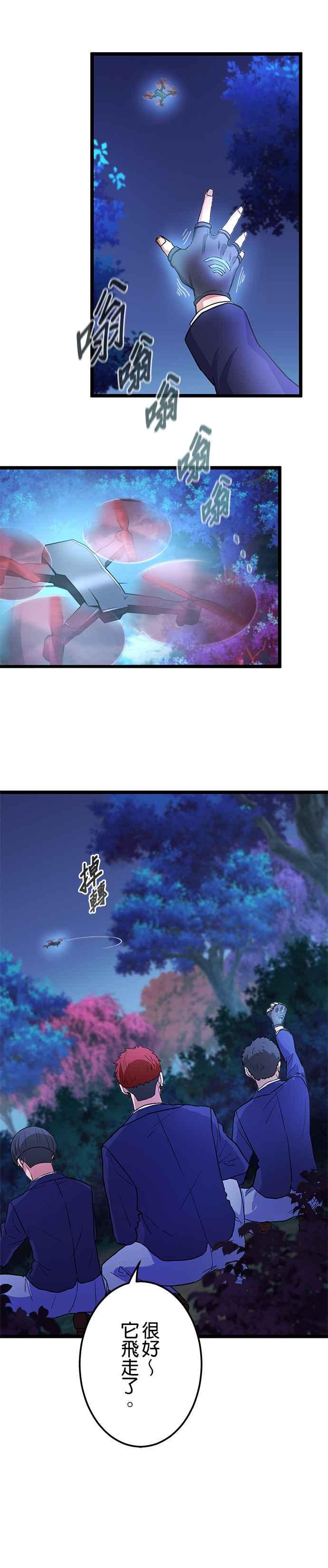 12.jpg