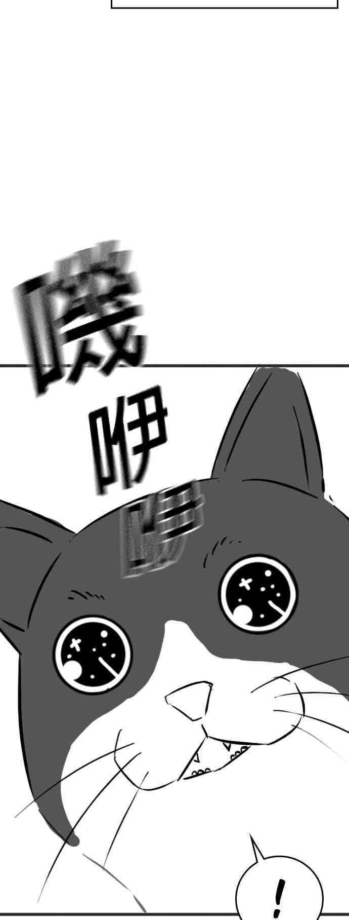 特别篇：猫咪的语言-现实闯关-Joowoon Lee,太成（第15张）