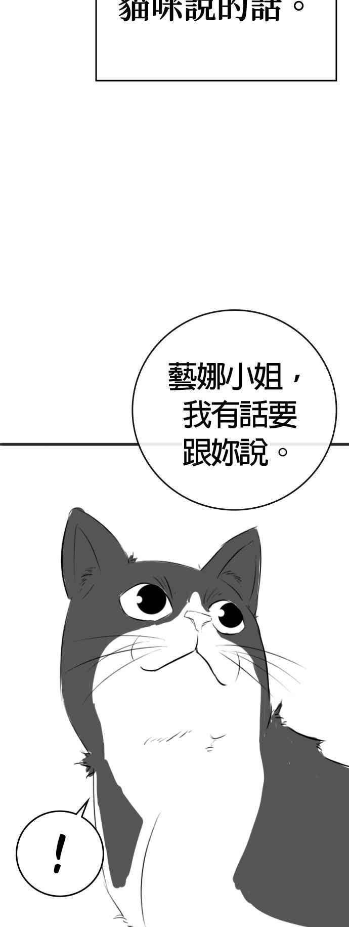 特别篇：猫咪的语言-现实闯关-Joowoon Lee,太成（第36张）