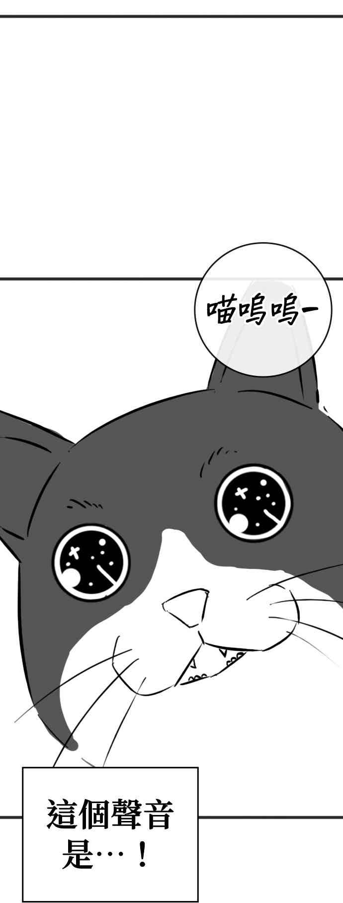 特别篇：猫咪的语言-现实闯关-Joowoon Lee,太成（第26张）