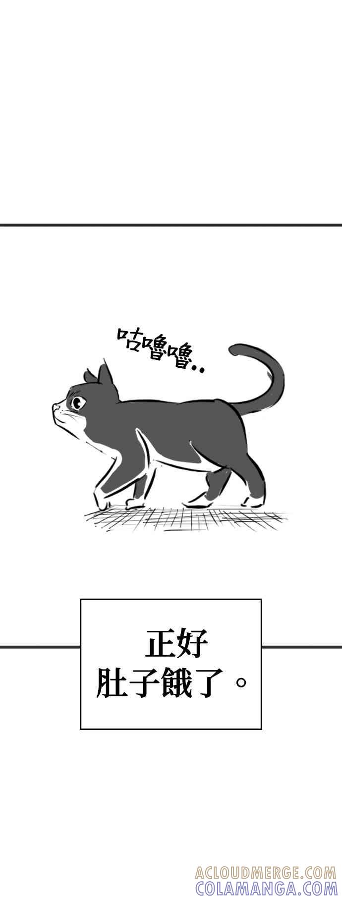 特别篇：猫咪的语言-现实闯关-Joowoon Lee,太成（第13张）