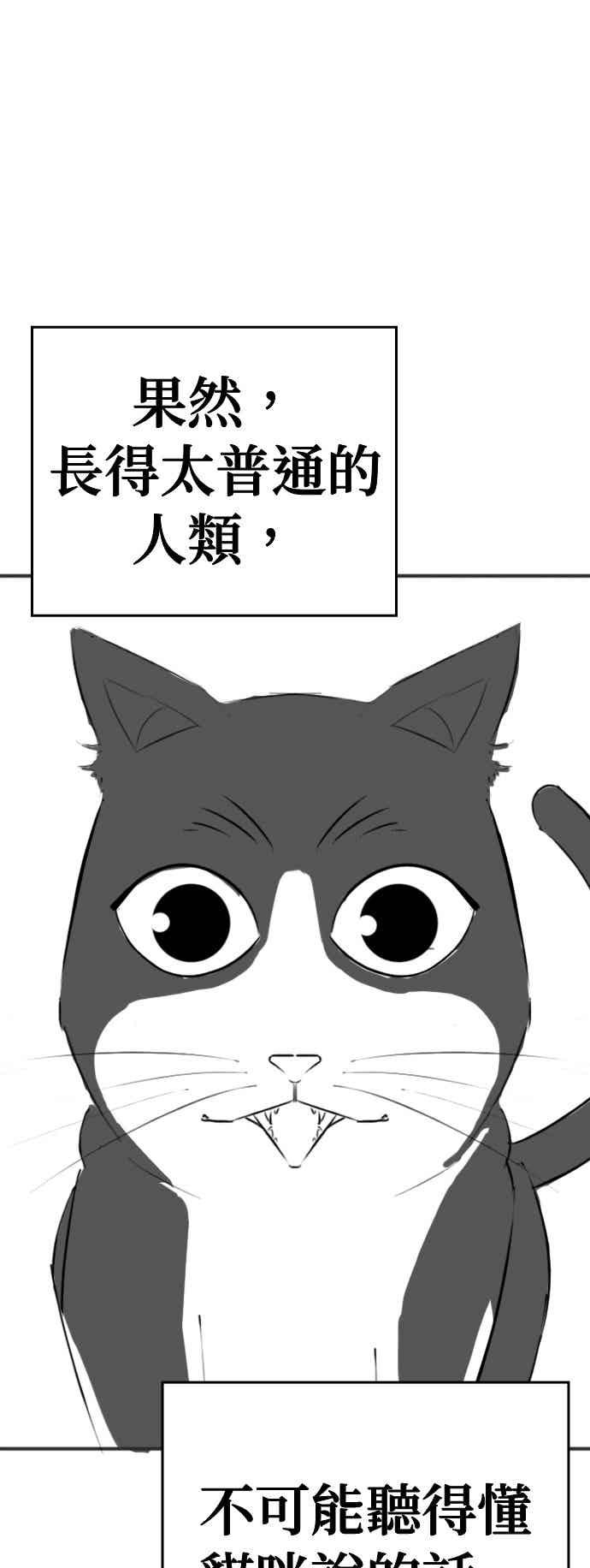特别篇：猫咪的语言-现实闯关-Joowoon Lee,太成（第35张）