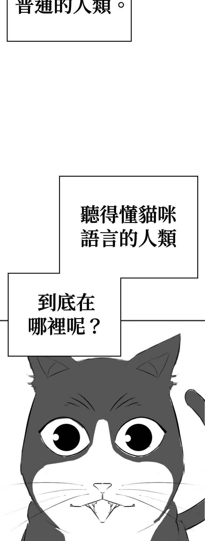 特别篇：猫咪的语言-现实闯关-Joowoon Lee,太成（第24张）