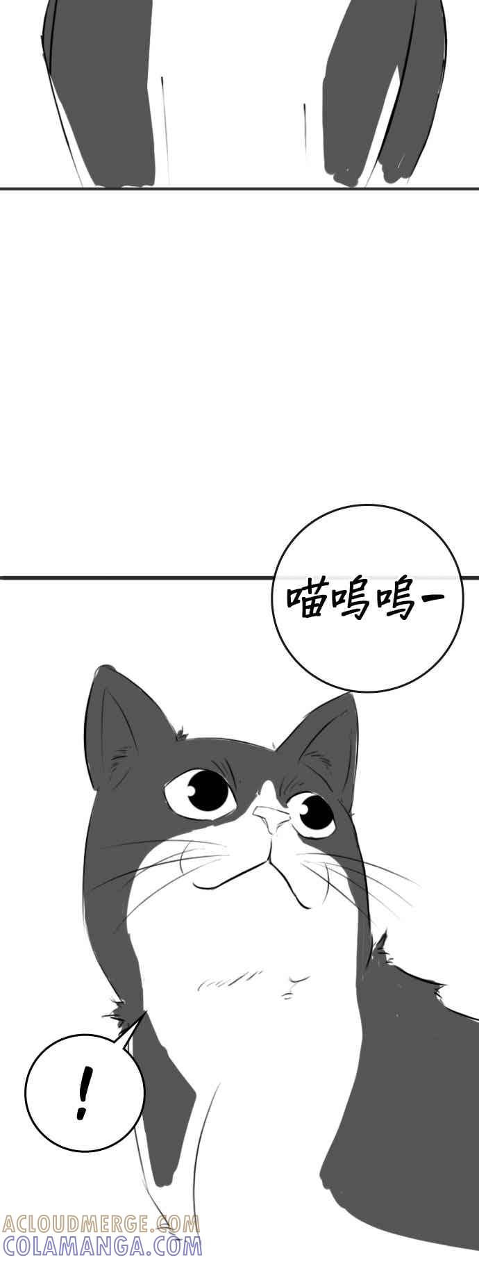 特别篇：猫咪的语言-现实闯关-Joowoon Lee,太成（第25张）