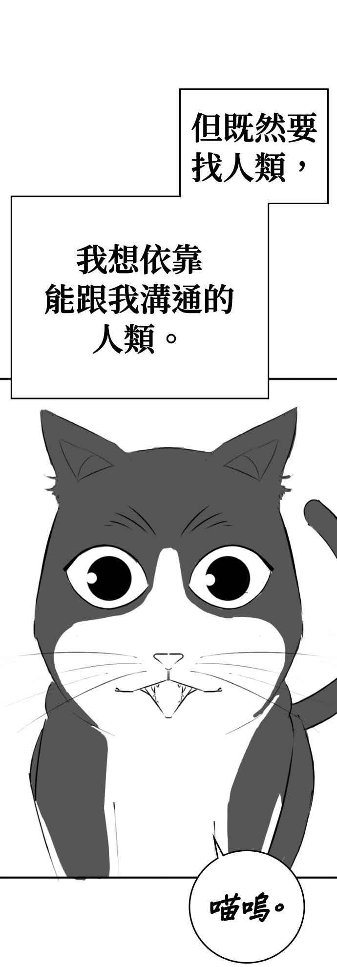 特别篇：猫咪的语言-现实闯关-Joowoon Lee,太成（第12张）