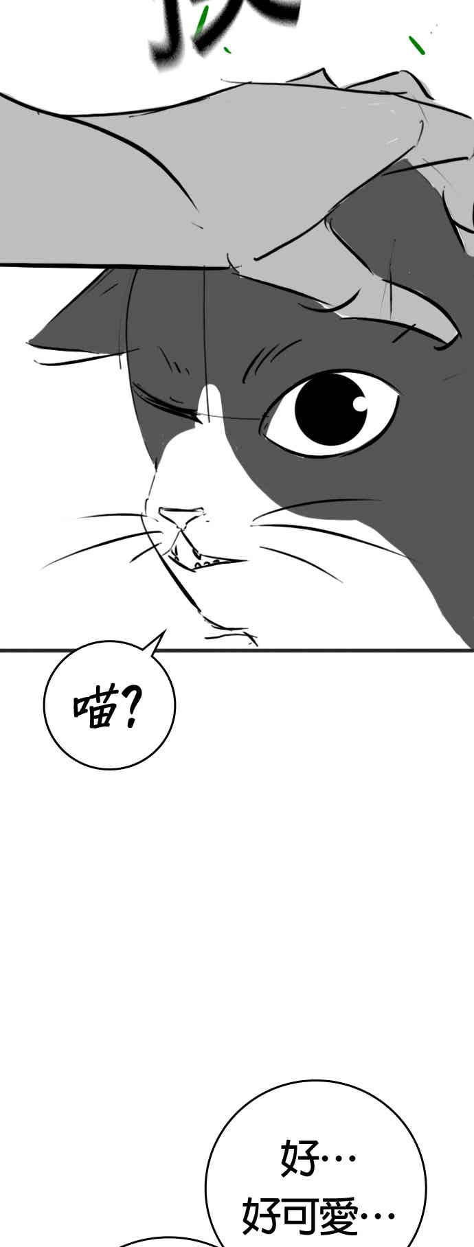 特别篇：猫咪的语言-现实闯关-Joowoon Lee,太成（第21张）
