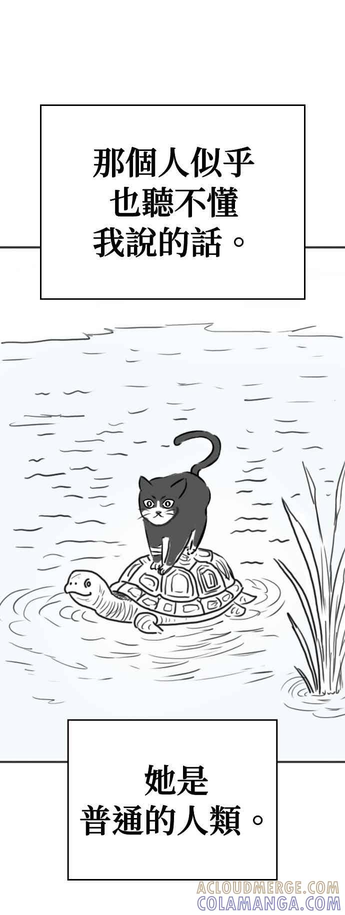 特别篇：猫咪的语言-现实闯关-Joowoon Lee,太成（第34张）