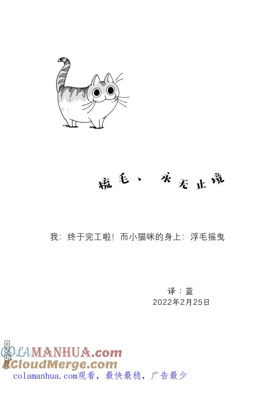 第105话-关于养猫我一直是新手-キュルZ（第2张）