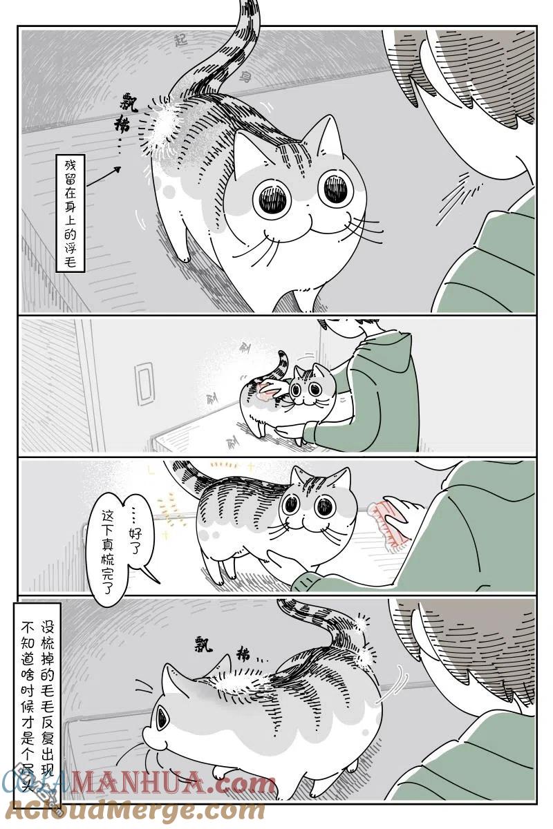 第105话-关于养猫我一直是新手-キュルZ（第1张）
