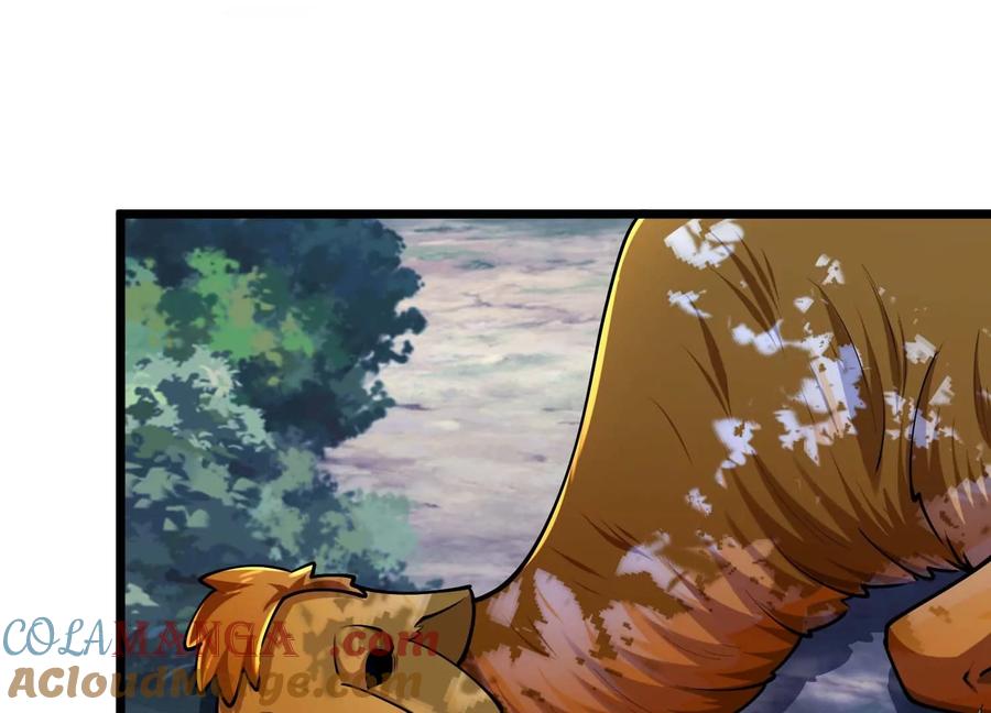 125.jpg