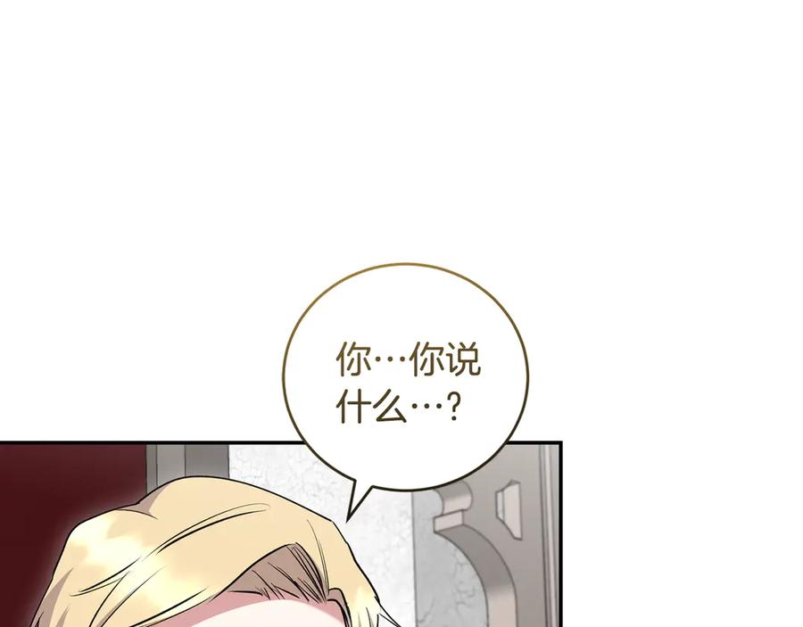 223.jpg
