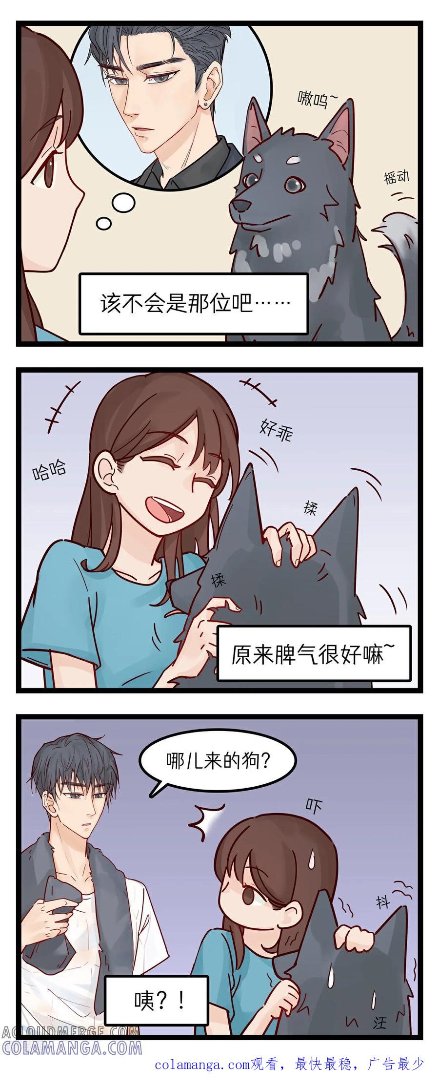 第59话狼？狗？-灵裔：我的室友不正常-泊川、灵桔子（第2张）