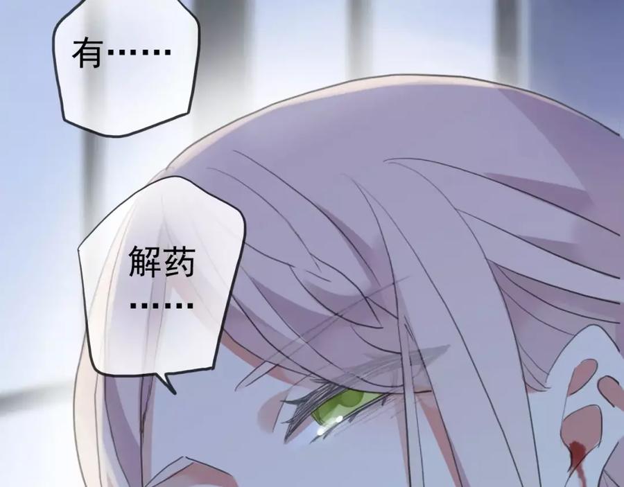 226.jpg