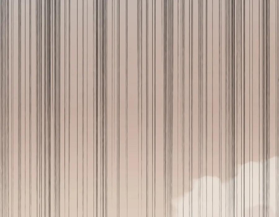 101.jpg