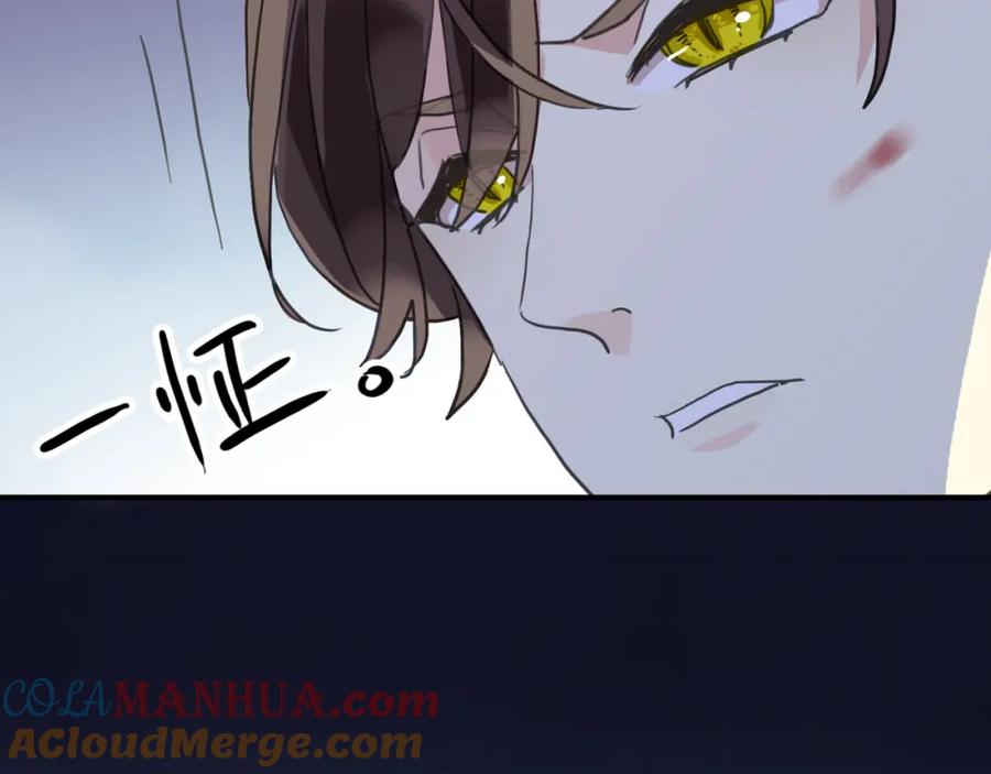209.jpg