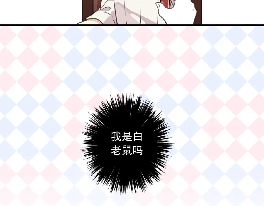 79.jpg