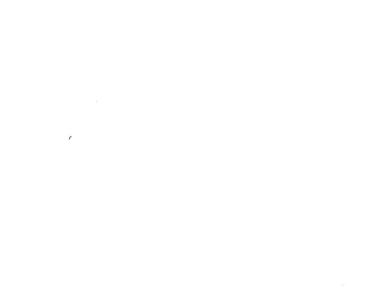71.jpg
