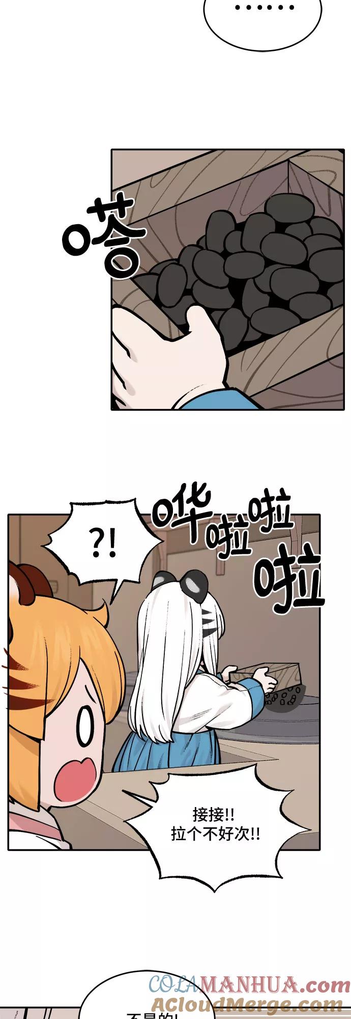 17.jpg