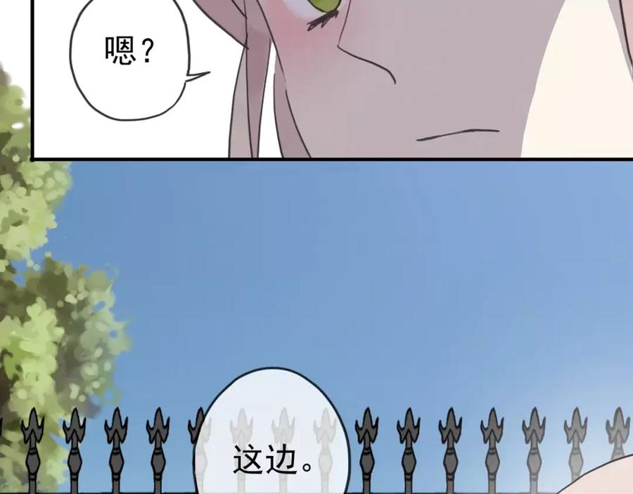 47.jpg
