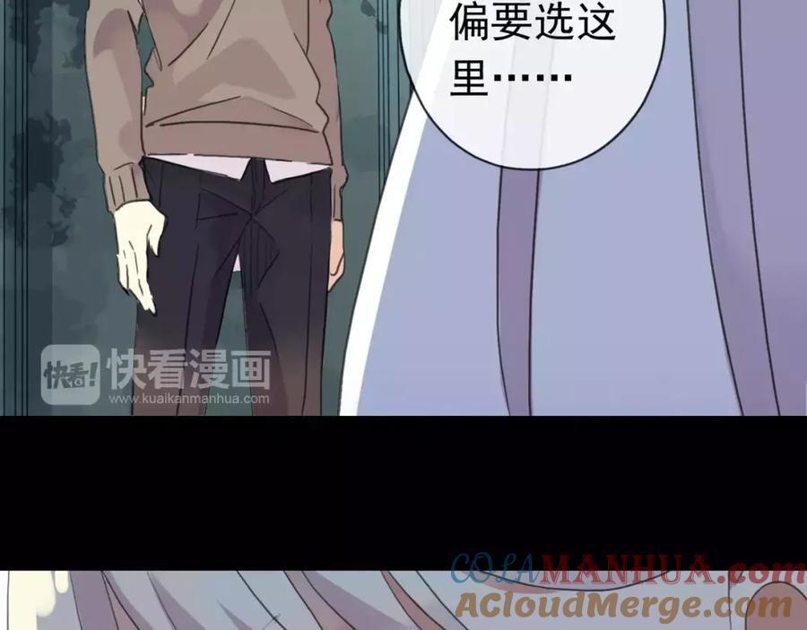 141.jpg