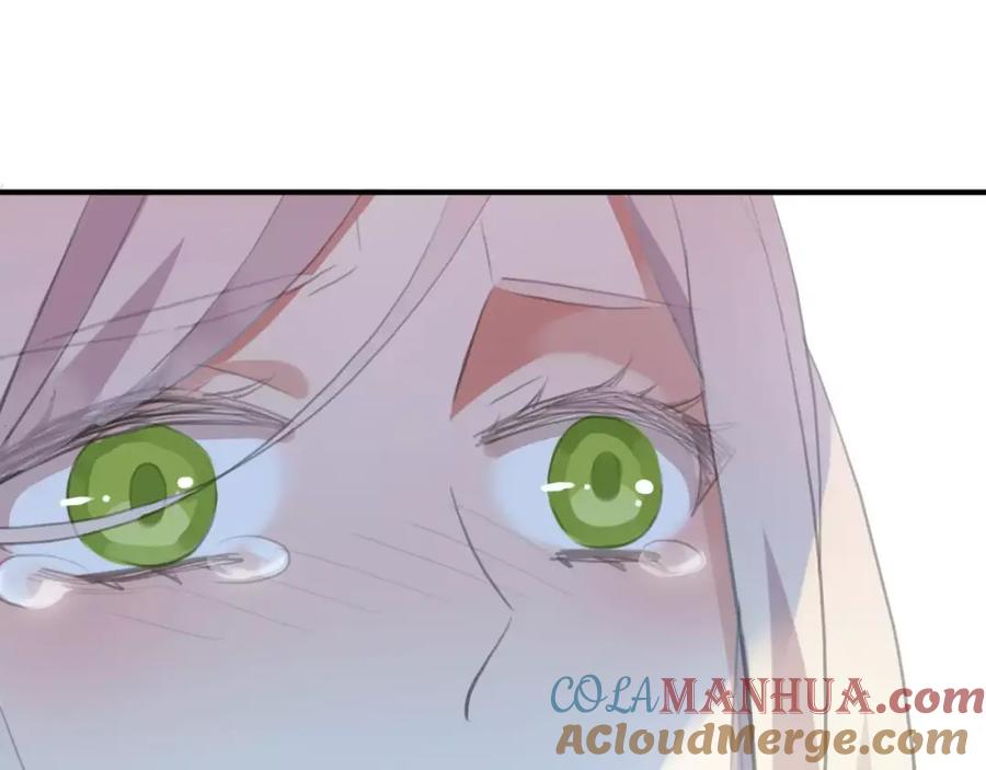113.jpg