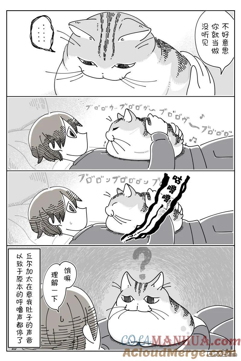 第163话-关于养猫我一直是新手-キュルZ（第2张）
