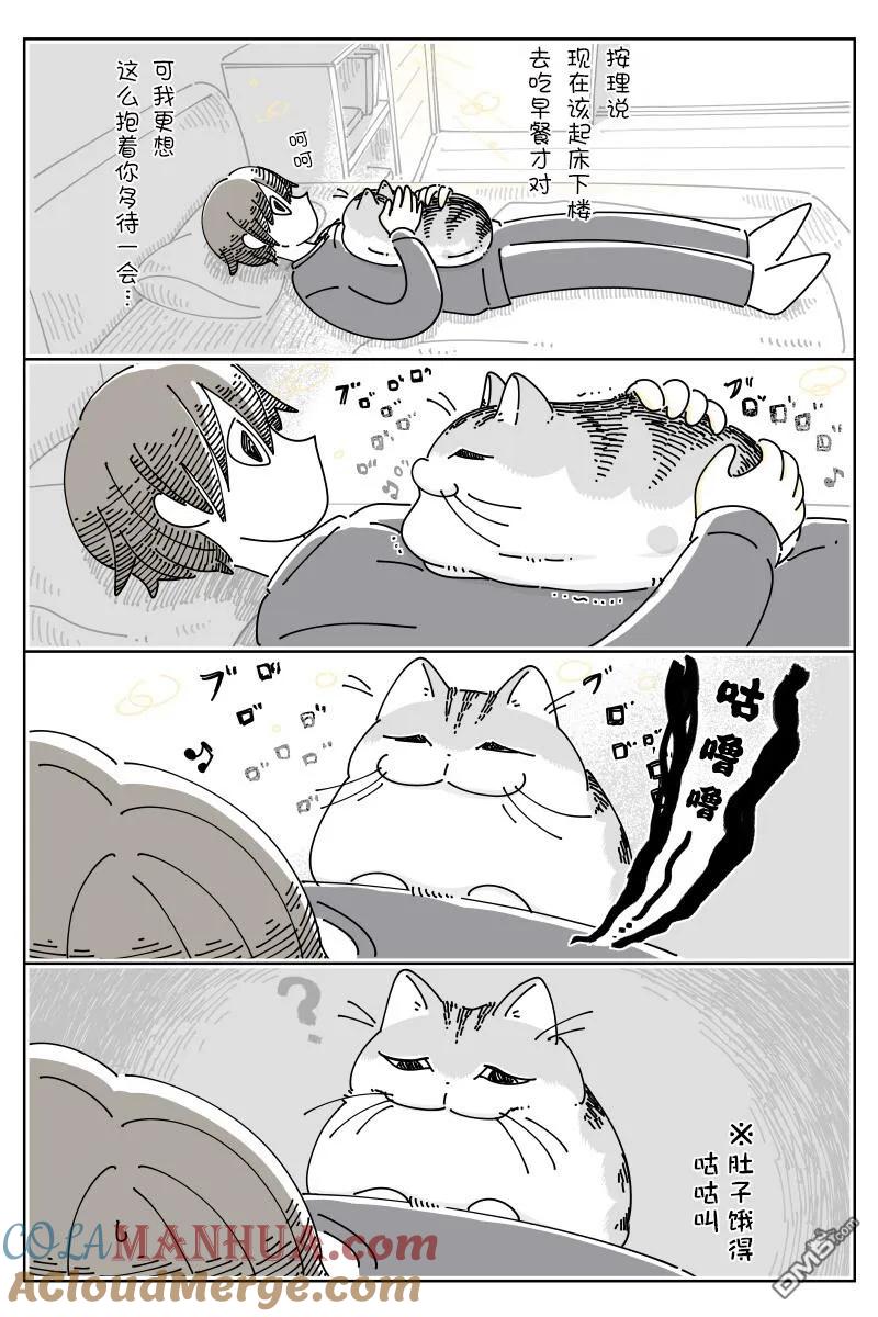 第163话-关于养猫我一直是新手-キュルZ（第1张）