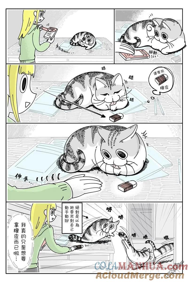 第50话-关于养猫我一直是新手-キュルZ（第1张）