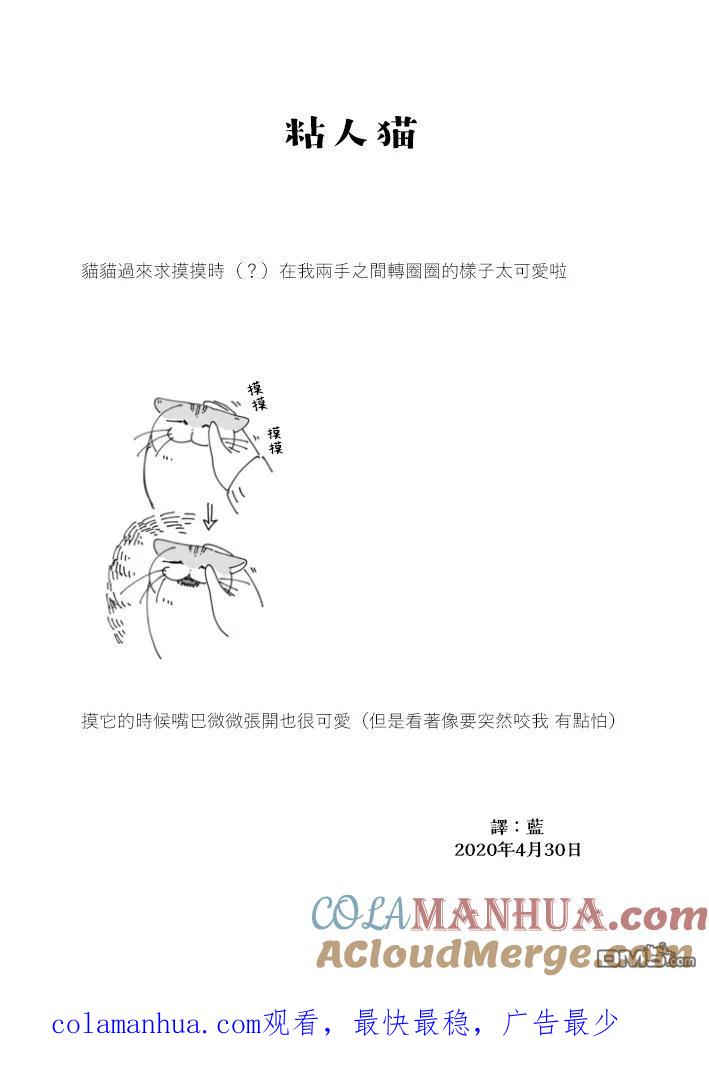 第62话-关于养猫我一直是新手-キュルZ（第3张）