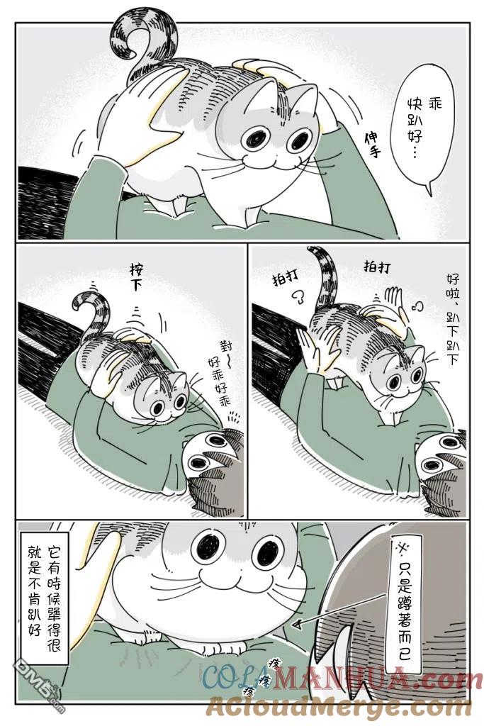 第63话-关于养猫我一直是新手-キュルZ（第3张）