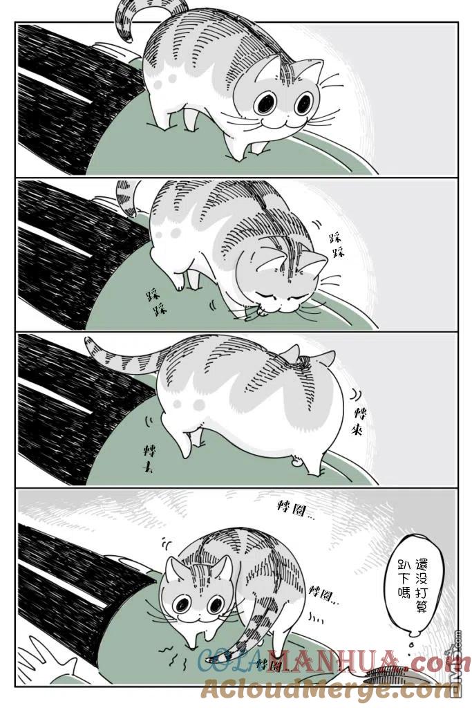第63话-关于养猫我一直是新手-キュルZ（第2张）