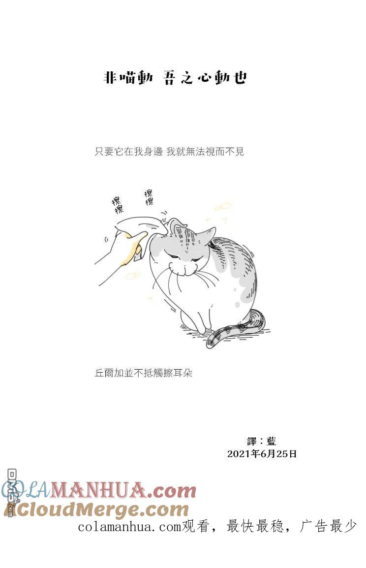 第70话-关于养猫我一直是新手-キュルZ（第3张）