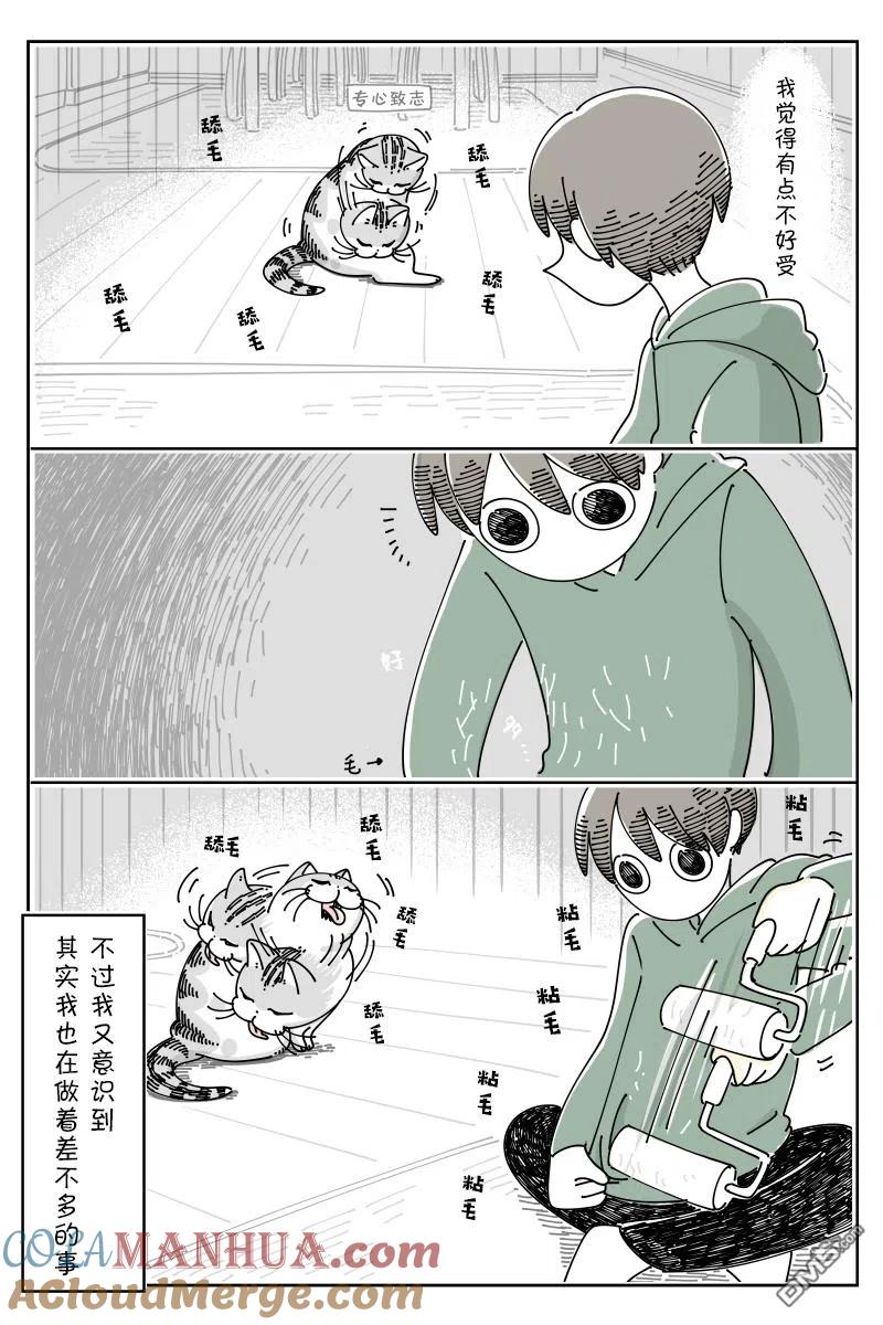 第90话-关于养猫我一直是新手-キュルZ（第2张）