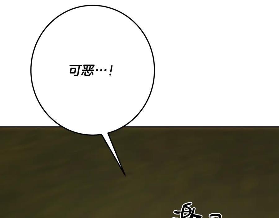 166.jpg