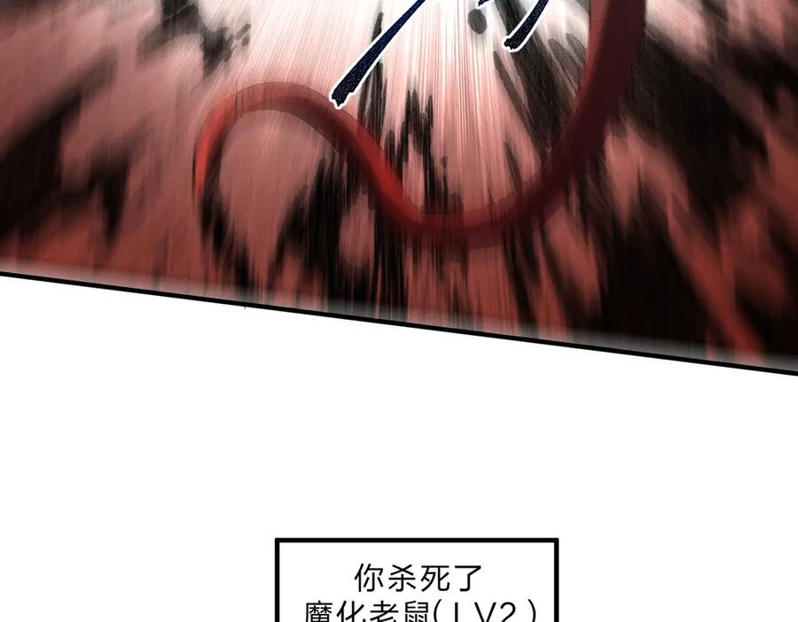 64.jpg