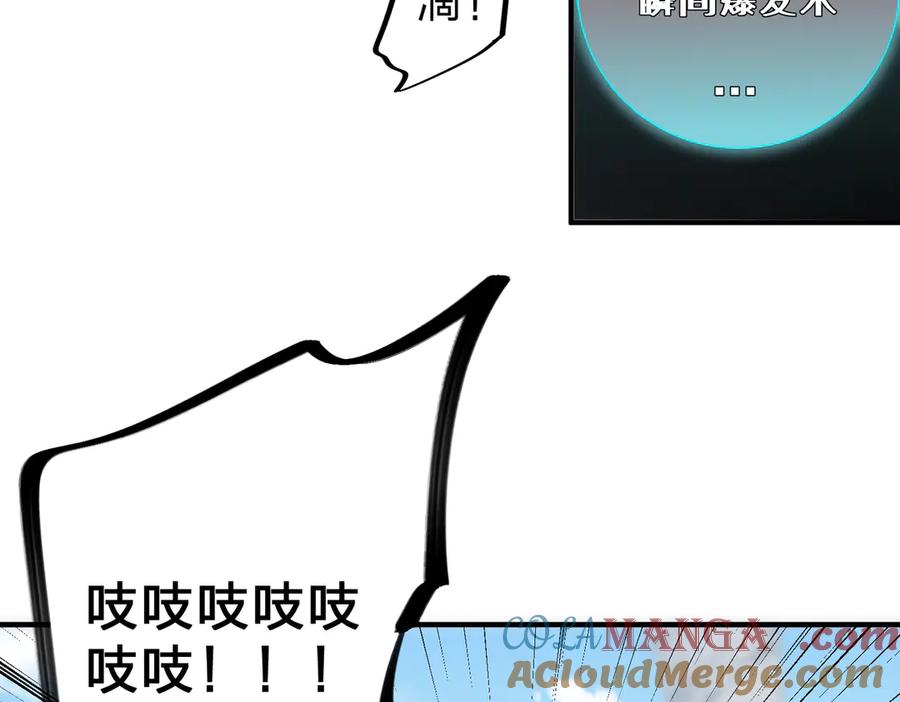 113.jpg