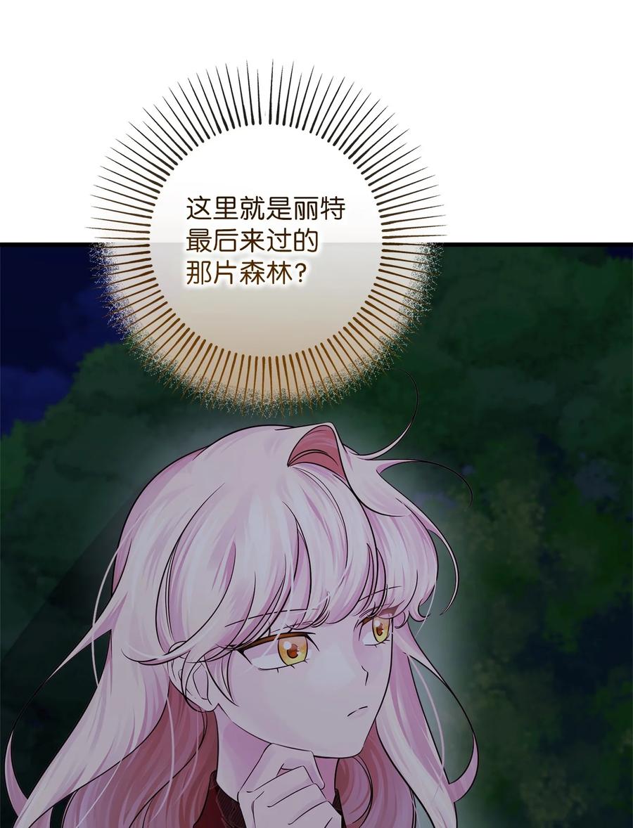 47.jpg
