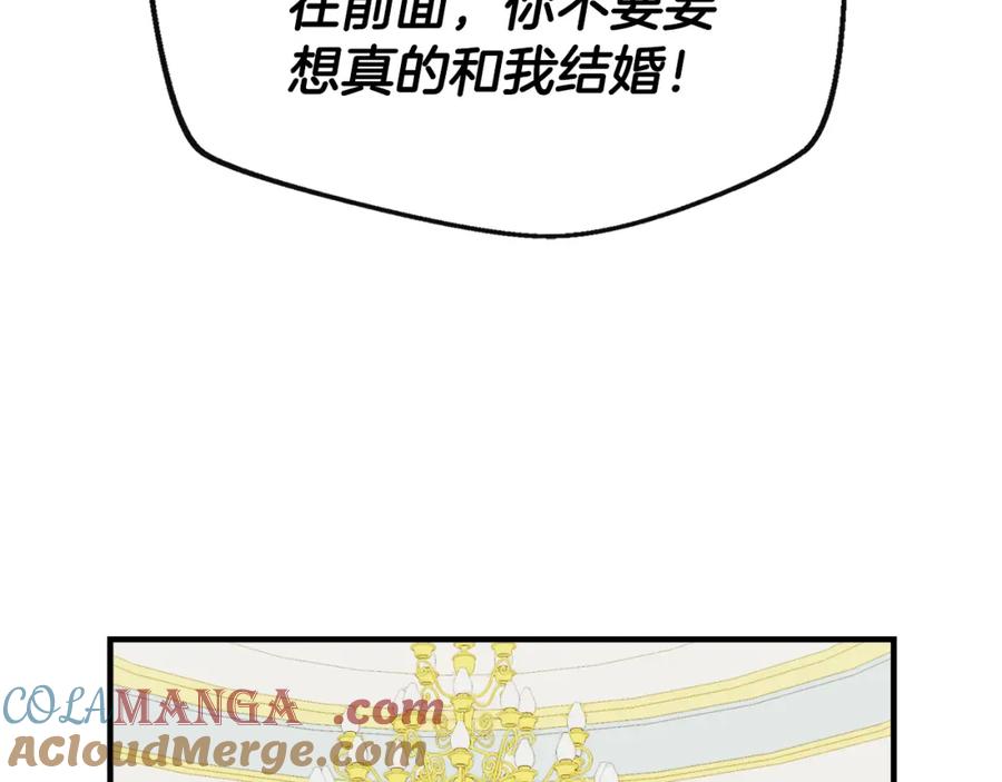 153.jpg
