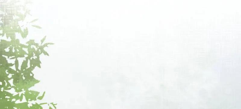 74.jpg