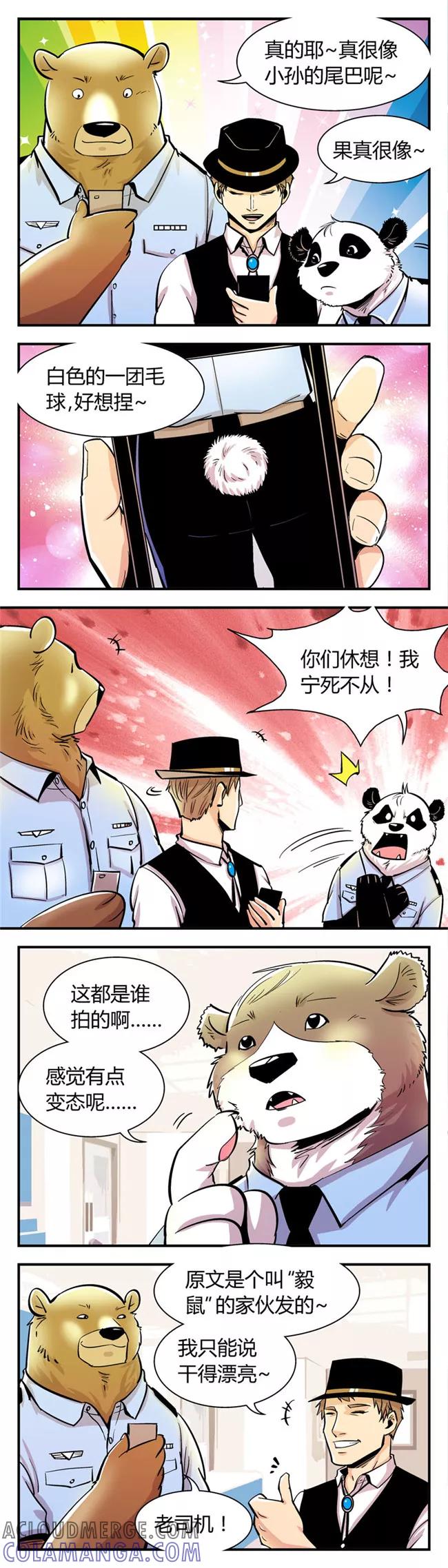 第61话熊尾风波(1)-熊警察-毅鼠（第2张）