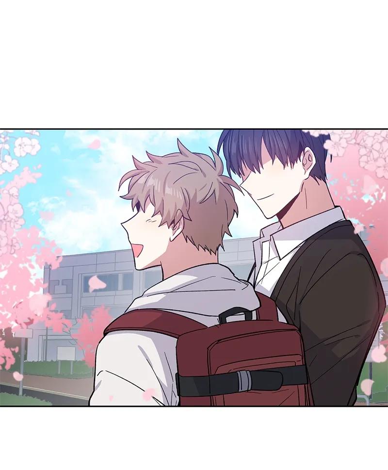 098098-甜心BOY-茶绿,创乐帮（第5张）